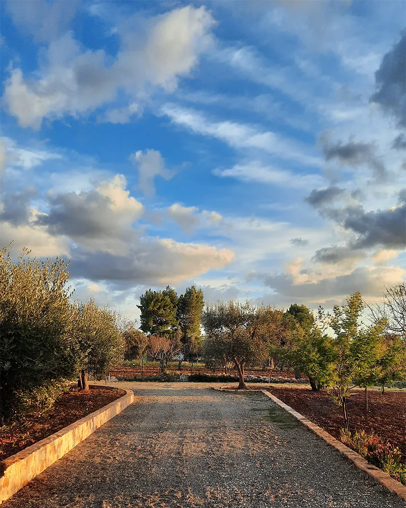 viale masseria Genius Loci Dimore